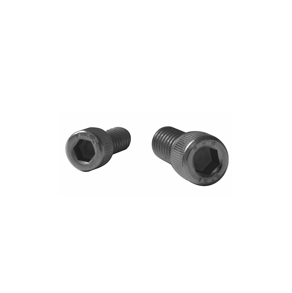 Model_Image_Flameproof Ex d Cast Iron Box Lid Screws